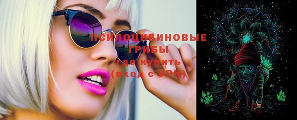 2c-b Михайлов