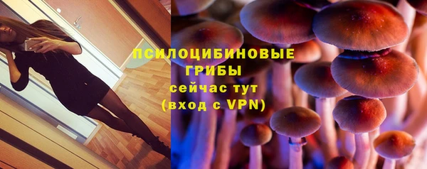 MDMA Premium VHQ Михайловка