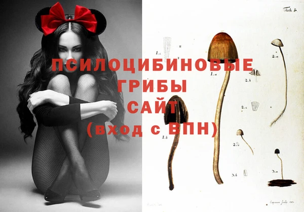 MDMA Premium VHQ Михайловка