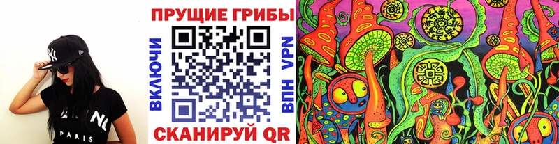 Псилоцибиновые грибы ЛСД  наркотики  Кисловодск 