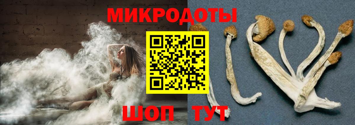 Галлюциногенные грибы MAGIC MUSHROOMS Кисловодск