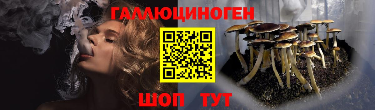 Псилоцибиновые грибы мухоморы  Псилоцибиновые грибы MAGIC MUSHROOMS  хочу наркоту  Кисловодск 